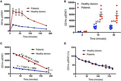 STAT1 Gain-of-Function Mutations Cause High Total STAT1 Levels With Normal Dephosphorylation